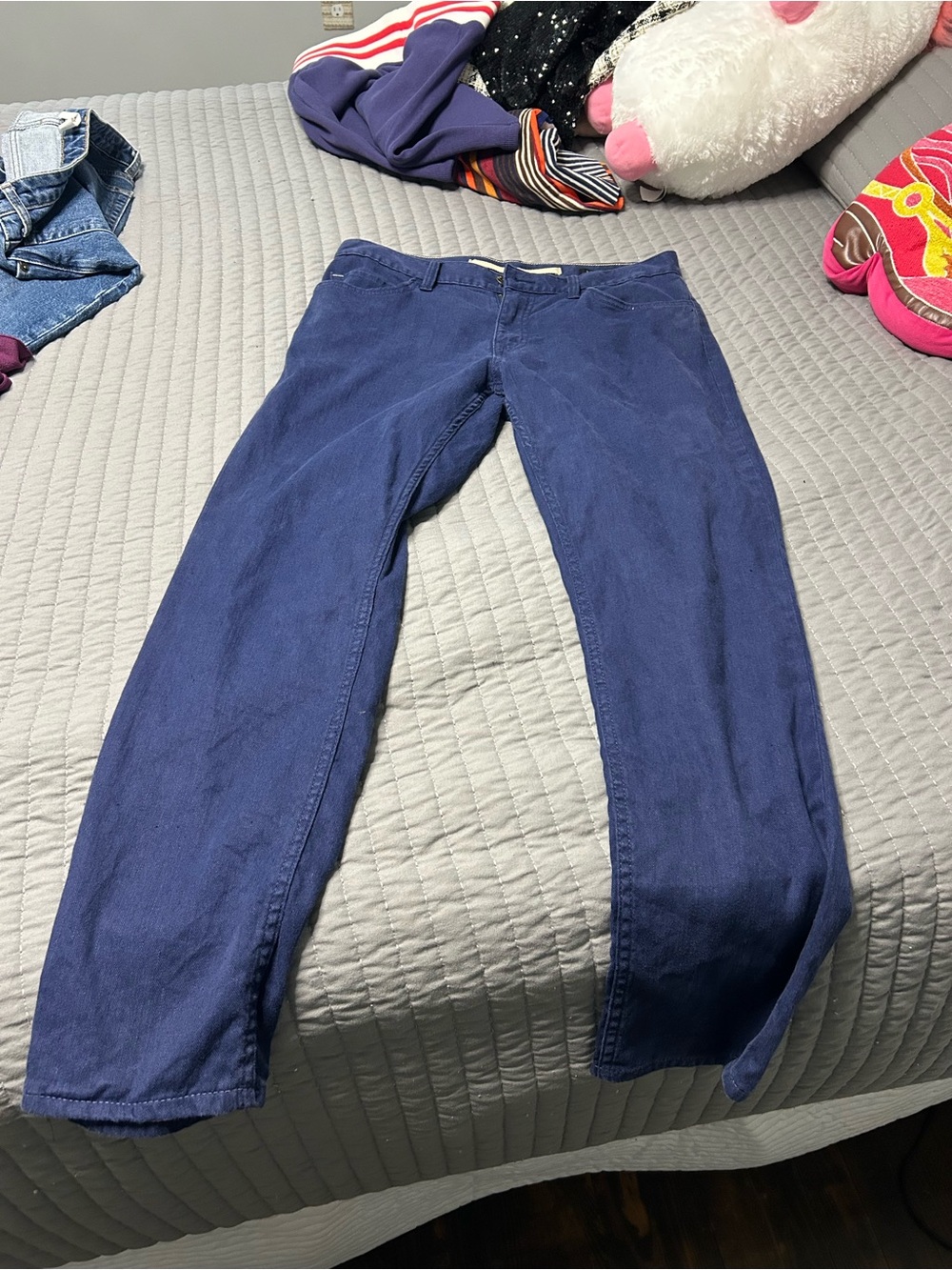 Banana Republic Navy Blue Trousers